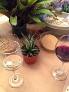 Wine and plants