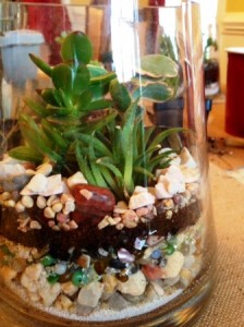 Terrarium of rocks and succulents