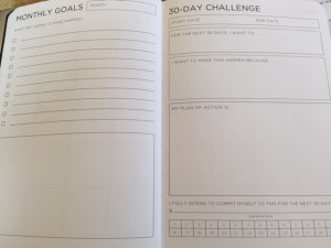 Monthly goal setting page and 30 day challenge page