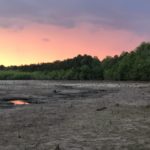 vibrant orange to purple sunset over a dry lake bed framed by trees