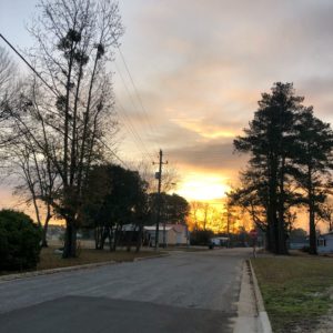 The sun rising in the distance behind trees and clouds at the end of the street.