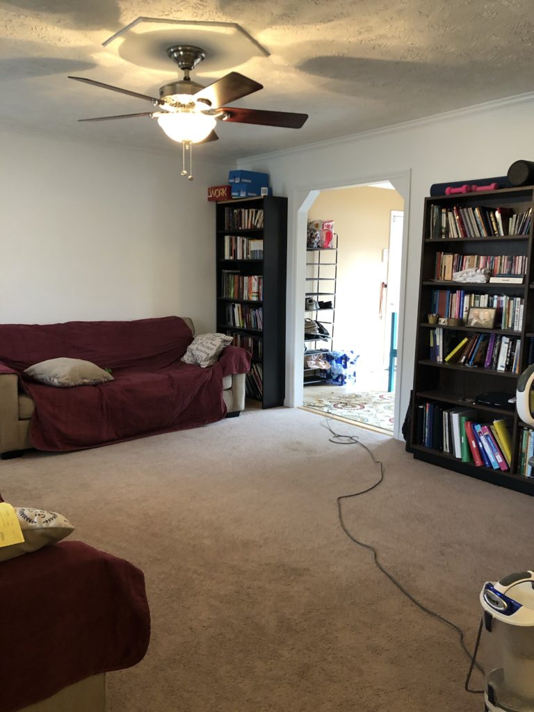 bare open floor in a living room. Bookshelves along one wall, couches along the other walls, a vacuum cleaner cord snaking across the carpet from the far side of the room.