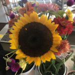 A very large sunflower surrounded by marigolds and a small purple flower in a vase, surrounded by pots of aloe plants.