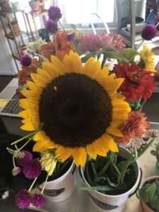 A very large sunflower surrounded by marigolds and a small purple flower in a vase, surrounded by pots of aloe plants.